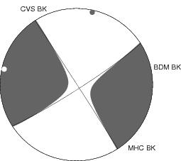 Moment Tensor Diagram