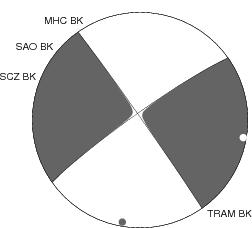 Moment Tensor Diagram