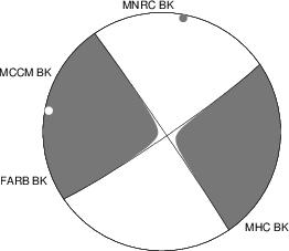 Moment Tensor Diagram